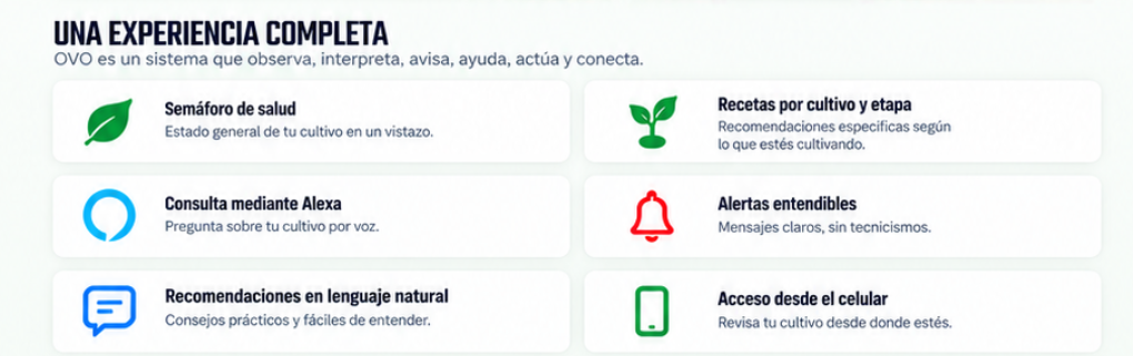 Sección una experiencia completa de OVO