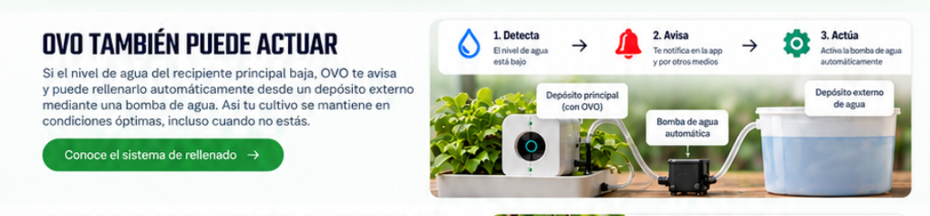 Sección OVO también puede actuar